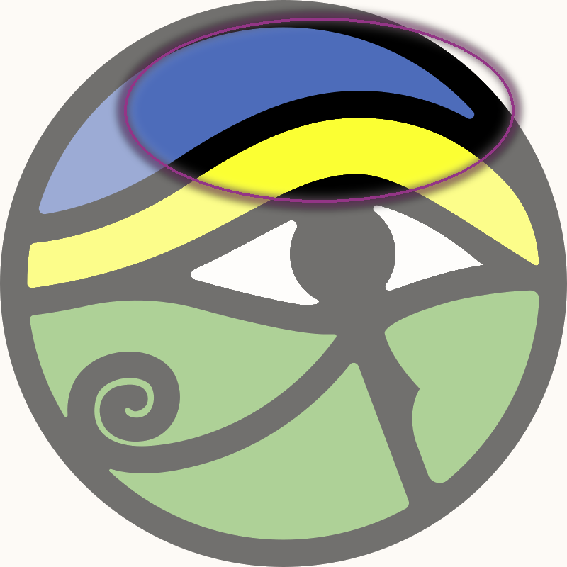 The eye with the eyebrow highlighted